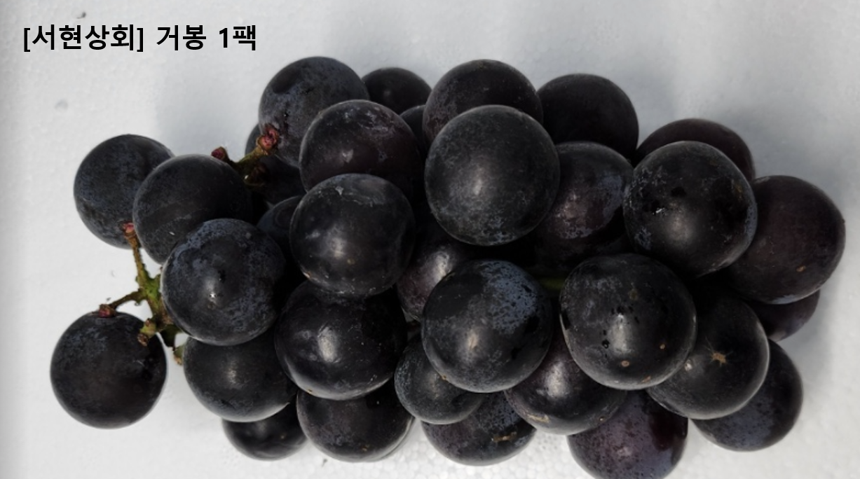 이미지4